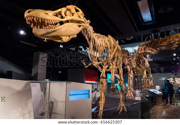 1,206 Melbourne Museum Images, Stock Photos & Vectors | Shutterstock