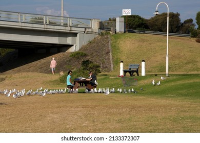 Melbourne, Australia - February 28, 2022:  A Couple And A Flock Of Seagulls Having A Picnic Together At The Beach In The Fishing Village Of San Remo, Victoria, Australia.