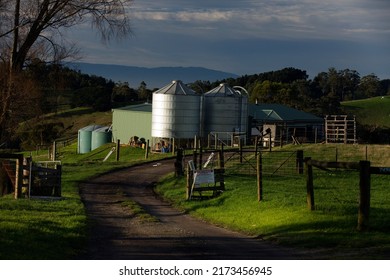 Melbourne, Australia - June 28, 2022:  A farm house on Grand Ridge Road with silos near Warragul, rural Victoria, Australia.