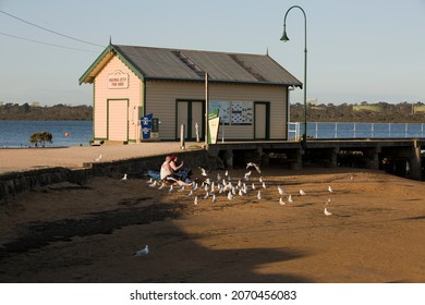 Melbourne, Australia - November 01, 2021:  A Couple And Seagulls Having A Picnic At The Seaside At Hastings, In Western Port Bay Victoria, Australia.