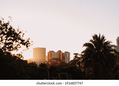 Melbourne City Skyline viewed towards St Kilda Road from the Royal Botanical Gardens at Sunset showing buildings and hotels with lots of negative space - Shutterstock ID 1916837747