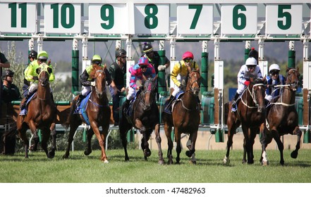 Horse Race Starting Gate High Res Stock Images Shutterstock