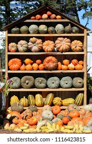 MELBOURNE, VICTORIA, AUSTRALIA - 23 MARCH 2018: A Display Of Various Types Of Pumpkins At The 2018 Melbourne International Flower Show In The Carlton Gardens.