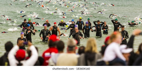 MELBOURNE, VICTORIA, AUSTRALIA - MARCH 23, 2014 - Unidentified age group Ironman athletesexit the water after a 3.8km swim on March 23, 2014.