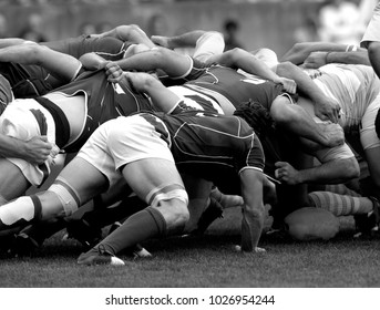 melee during a rugby match - Powered by Shutterstock