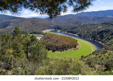 Melero Meander With Green Tones And A Blue Sky In The Province Of Cáceres During A Sunny Spring Day