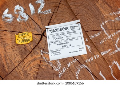 Melgaco, Para, Brazil - Nov 08, 2021: Identification Tag Of Log Extracted From An Area Under Concession Of The Brazilian Government For Sustainable Forest Management In 