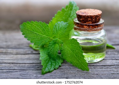 Melissa Essential Oil In A Glass Bottle With Fresh Green Melissa Leaves On Old Wooden Table For Spa, Aromatherapy And Bodycare.Lemon Balm Extract.Selective Focus.