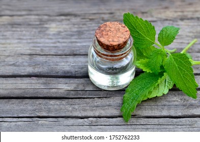 Melissa Essential Oil In A Glass Bottle With Fresh Green Melissa Leaves On Old Wooden Table For Spa, Aromatherapy And Bodycare.Lemon Balm Extract.Selective Focus.