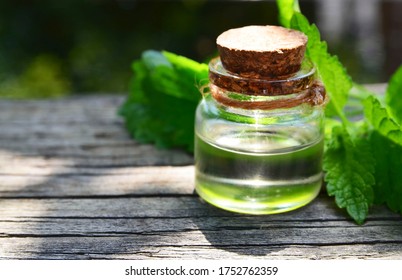 Melissa Essential Oil In A Glass Bottle With Fresh Green Melissa Leaves On Old Wooden Table For Spa, Aromatherapy And Bodycare.Lemon Balm Extract.Selective Focus.