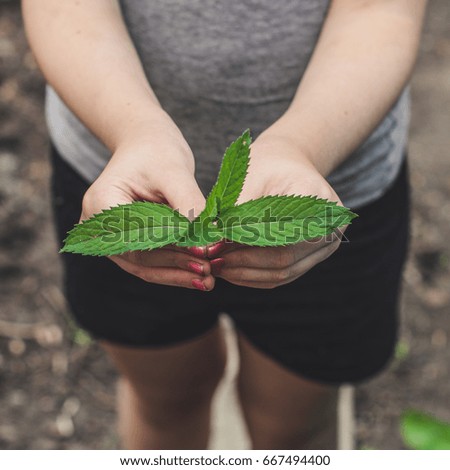 Similar – Foto Bild griffbereit Dorf Haus