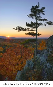 Уссурийская тайга фото