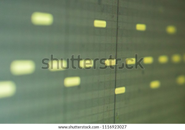 Melody Notes On Virtual Piano Roll Stock Photo Edit Now 1116923027