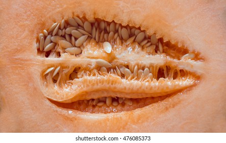 melon