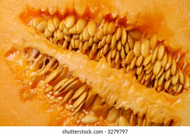 Melon closeup background