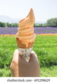 Melon Ice-cream In Lavender Farm In Hokkaido, Japan