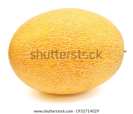 Melon isolated on a white background