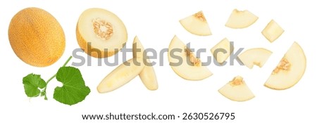 Melon isolated on white background with full depth of field. Top view. Flat lay