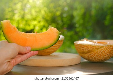 Melon.piece of ripe melon.Melon in a cut in female hands. Appetizing summer fruits. Women's hands cut a ripe melon