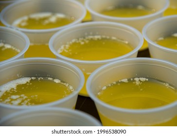 Melted butter ready for the calms and lobster at a Maine clambake