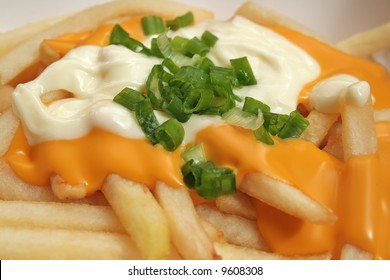 Melted Cheese Fries Topped Off With Mayonaise And Spring Onions.