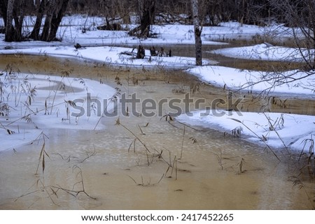 Melted water over ice and snow in swamp in the end of the winter. Winter day in the forest. Floods in swamp pond in Latvia forest