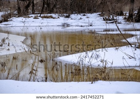Melted water over ice and snow in swamp in the end of the winter. Winter day in the forest. Floods in swamp pond in Latvia forest