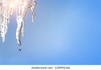 Melting icicle with drip drops . spring thaw. hanging beautiful shiny transparent icicles against blue sky, clear day. the end of wintertime, early Spring season concept. copy space