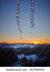 Melting icicle in early spring