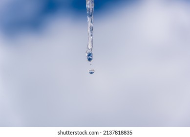 Melting Icicle, Water Dripping From The Icicle, Drop.