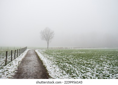 Melting snow and green grass on an agricultural field in Europe. Footpath leading to a lone tree, dense foggy weather, no people.