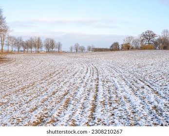 The melting snow on fields in early spring. Agriculture Snow-covered rows Green wheat on field in Germany. Agrarian field and harvest concept. Winter background - Powered by Shutterstock