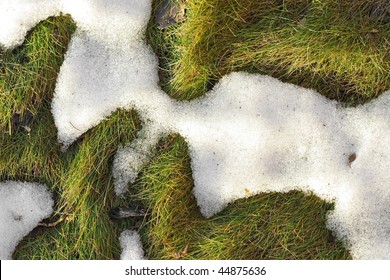 Melting Snow On The Grass