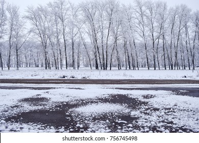 Melting Snow And Road