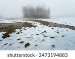 Melting snow and water in a meadow with trees on a foggy February day