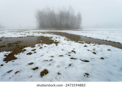 Melting snow and water in a meadow with trees on a foggy February day - Powered by Shutterstock