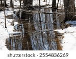 Melting Snow and Water Runoff in Early Spring in Quebec