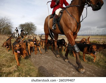 Members of the Four Shires Hunt,based in Derbyshire, UK, out following a ready made scent cross country. They do not chase foxes. Taken on 29/01/2012