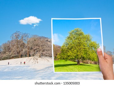 Memorable Picture Summer Vs Winter, Time Passing Concept