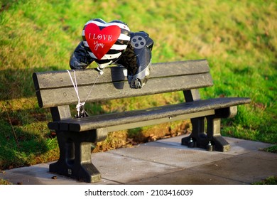 Memorial Bench With Helium Balloons