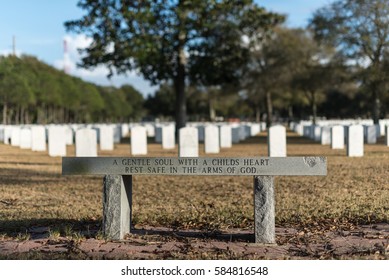 Memorial Bench In Veteran Cemetery