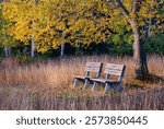 Memorial benches offer a view towards the Lakle Michigan autumn shoreline and Newport Bay, at Newport State Park, Door County, Wisconsin