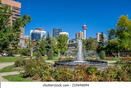 Memorial Park in Calgary, Alberta Canada during the beautiful fall season. 