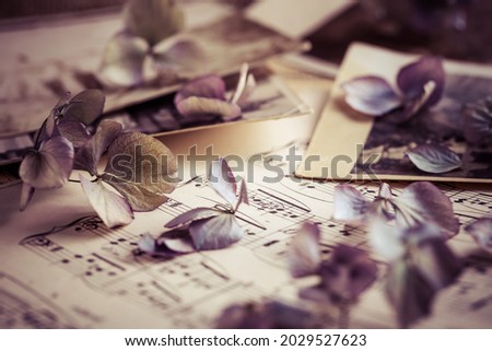 Memories - old and antique family photos with old photo album with dried flowers in vintage style