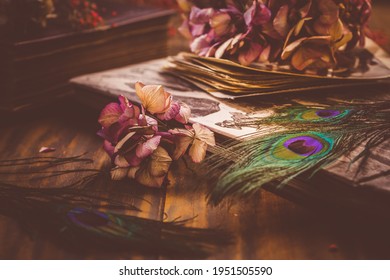 Memories - Old book and photo album, dried flowers and peacock feather eye in vintage style - Shutterstock ID 1951505590