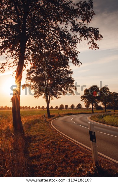 Memories of a\
summer sunset road trip at a german countryside landscape with  a\
cured street avenue and tree with lens flare and warm color tones.\
Brunswick,  Lower Saxony in\
Germany