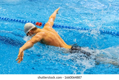 men athlete swimmer butterfly stroke swim in swimming competition