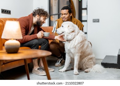 Men care their huge white dog at cozy home. Concept of homosexual relations and lifestyle at home. Idea of multinational gay families - Shutterstock ID 2110322807
