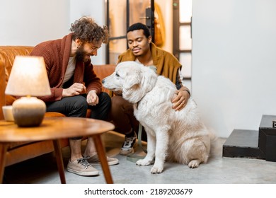 Men care their huge white dog at cozy home. Concept of homosexual relations and lifestyle at home. Idea of multinational gay families - Powered by Shutterstock