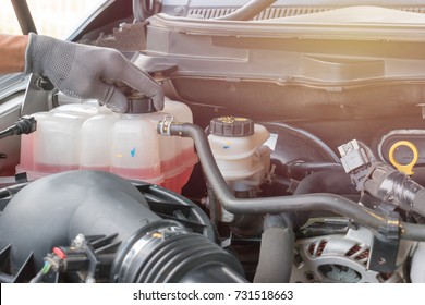 Men Checking Coolant Level Of Car.